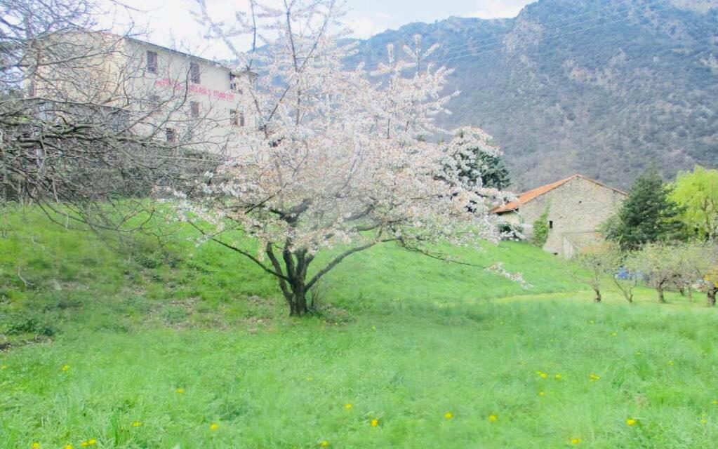La Pommeraie Casteil Luaran gambar
